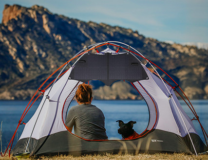 Bat Style Tent Solar Panel